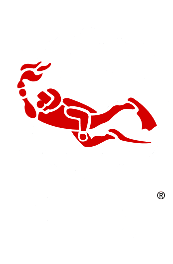 PADI LOGO